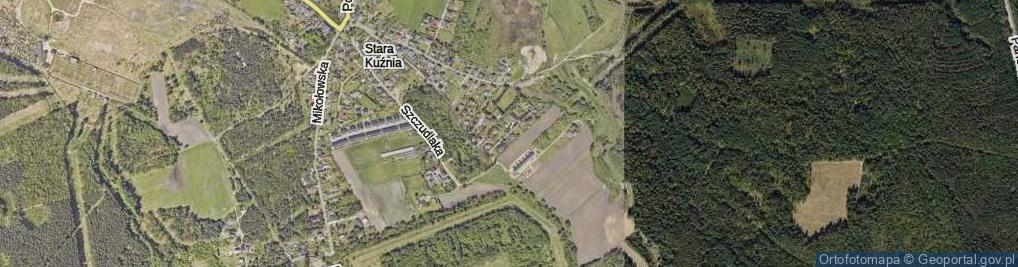 Zdjęcie satelitarne Ptasia ul.